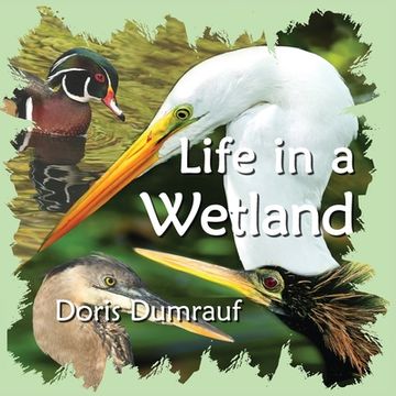 portada Life In A Wetland (en Inglés)