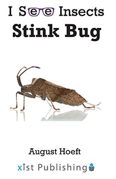 portada Stink bug (i see Insects) (en Inglés)