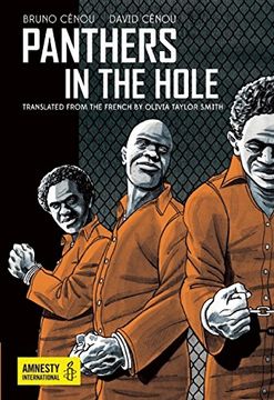portada Panthers in the Hole
