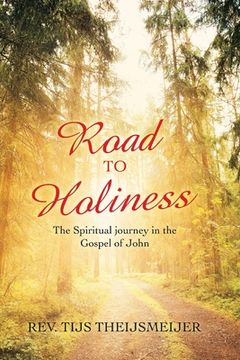 portada Road to Holiness: The Spiritual Journey in the Gospel of John (en Inglés)
