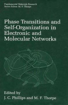 portada Phase Transitions and Self-Organization in Electronic and Molecular Networks (Fundamental Materials Research)
