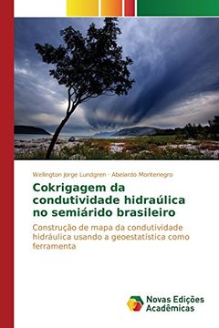 portada Cokrigagem da condutividade hidraúlica no semiárido brasileiro