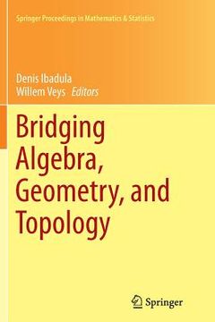 portada Bridging Algebra, Geometry, and Topology (en Inglés)