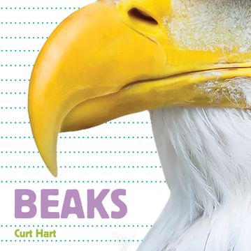 portada Beaks (Board Book) (in English)