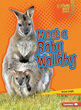 portada Meet a Baby Wallaby