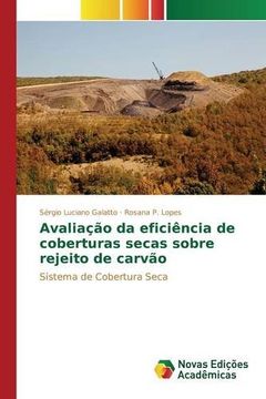 portada Avaliação da eficiência de coberturas secas sobre rejeito de carvão: Sistema de Cobertura Seca (Portuguese Edition)