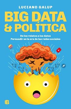portada Big data & Política (in Spanish)