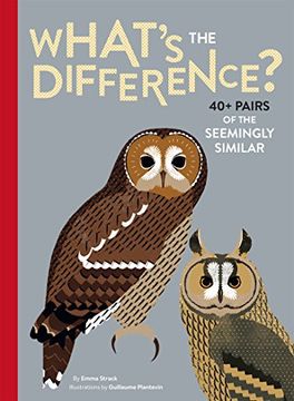 portada What's the Difference? 40+ Pairs of the Seemingly Similar (in English)