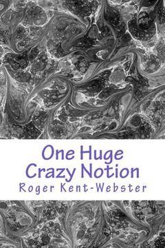 portada One Huge Crazy Notion: A romantic ghost and reincarnation novel