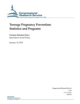 portada Teenage Pregnancy Prevention: Statistics and Programs (en Inglés)