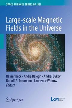 portada large-scale magnetic fields in the universe (en Inglés)