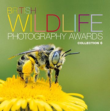 portada British Wildlife Photography Awards: Collection 6: Collection 6