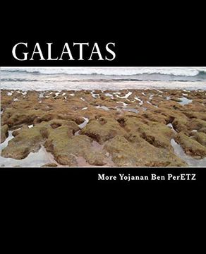 portada Galatas: Entendiendo en Hebreo (in Spanish)