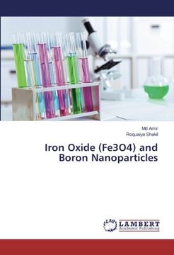 portada Iron Oxide (Fe3O4) and Boron Nanoparticles