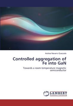 portada Controlled aggregation of Fe into GaN: Towards a room-temperature magnetic semiconductor