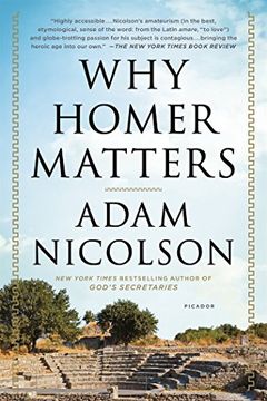 portada Why Homer Matters: A History (in English)