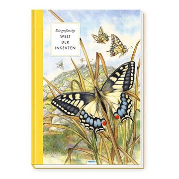 portada Trötsch Sachbuch die Großartige Welt der Insekten: Entdeckerbuch Beschäftigungsbuch Spielbuch (en Alemán)