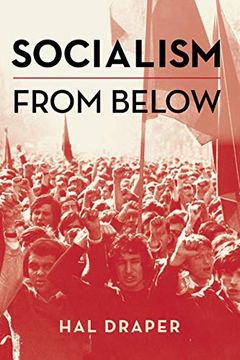 portada Socialism From Below (en Inglés)
