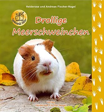 portada Drollige Meerschweinchen (en Alemán)