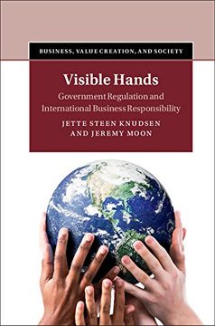 portada Visible Hands: Government Regulation and International Business Responsibility (Business, Value Creation, and Society)