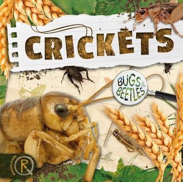 portada Crickets (Bugs and Beetles) (en Inglés)