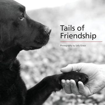 portada Tails of Friendship 