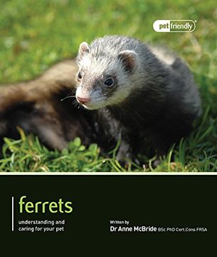 portada Ferrets (Pet Friendly) (en Inglés)