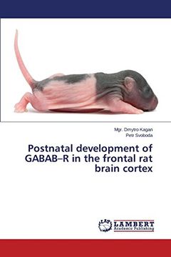 portada Postnatal development of GABAB-R in the frontal rat brain cortex