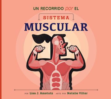 portada Un recorrido por el sistema muscular. Spanish Edition