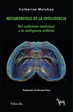 portada Metamorfosis de la Inteligencia (in Spanish)