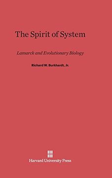 portada The Spirit of System (en Inglés)