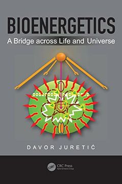 portada Bioenergetics: A Bridge Across Life and Universe (en Inglés)