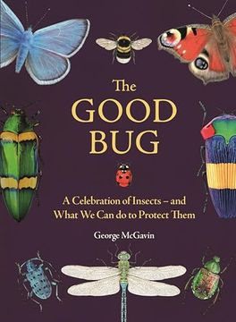 portada The Good Bug: A Celebration of Insects – and What we can do to Protect Them (in English)