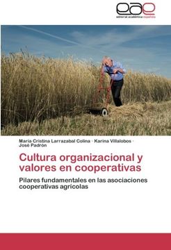 portada Cultura Organizacional y Valores En Cooperativas