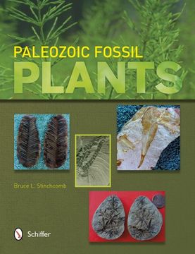 portada Paleozoic Fossil Plants (in English)