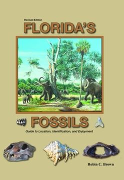 portada Florida's Fossils (en Inglés)