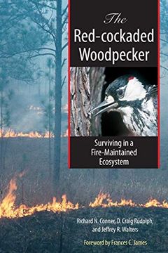 portada The Red-Cockaded Woodpecker: Surviving in a Fire-Maintained Ecosystem (Corrie Herring Hooks Series) (en Inglés)