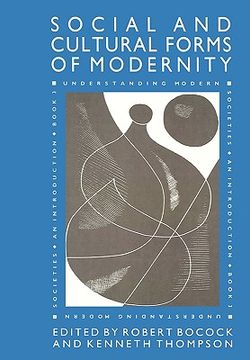 portada the social and cultural forms of modernity: understanding modern societies, book iii (en Inglés)