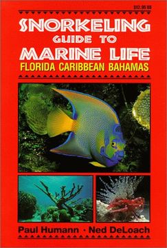 portada Snorkeling Guide to Marine Life: Florida, Caribbean, Bahamas (in English)