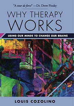 portada Why Therapy Works: Using our Minds to Change our Brains (Norton Series on Interpersonal Neurobiology) (in English)