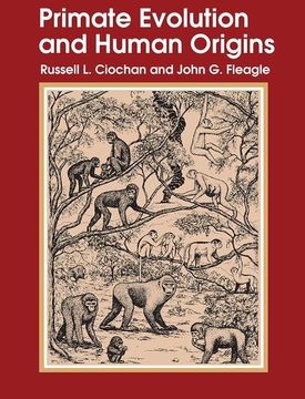 portada Primate Evolution and Human Origins (en Inglés)