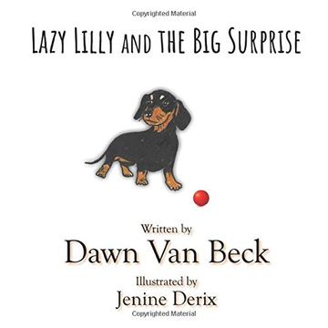 portada Lazy Lilly and the big Surprise (en Inglés)