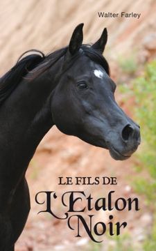 portada L'étalon Noir - Tome 3 - le Fils de L'étalon Noir (Aventure)