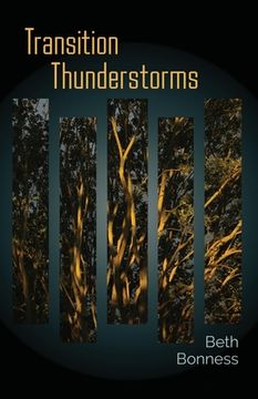 portada Transition Thunderstorms (en Inglés)