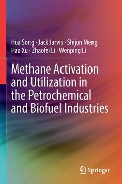 portada Methane Activation and Utilization in the Petrochemical and Biofuel Industries (in English)