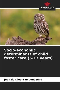 portada Socio-economic determinants of child foster care (5-17 years) (en Inglés)