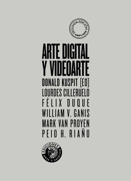 portada Arte Digital y Videoarte: Transgrediendo los Limites de la Representacion (in Spanish)