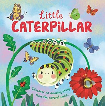 portada Little Caterpillar (in English)