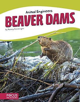 portada Beaver Dams (en Inglés)