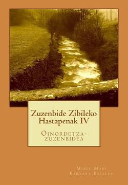 portada Zuzenbide Zibileko Hastapenak IV: Oinordetza-Zuzenbidea
